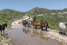 Excursion off road - ©GH