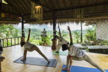 https://indonesiaimpressiontour.com/tour-highlights/wellness-spa-packages/ - https://indonesiaimpressiontour.com/tour-highlights/wellness-spa-packages/