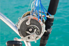 La pêche au gros : une aventure sportive en Martinique - La pêche au gros : une aventure sportive en Martinique