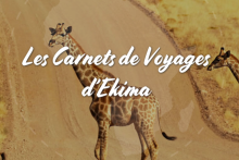 Blog - Ekima Afrika Travel