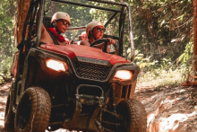 Monkeyland + Damajagua Waterfalls + Buggies - Monkeyland + Damajagua Waterfalls + Buggies