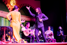 Spectacle de flamenco avec dîner de tapas - ©El Palacio Andaluz