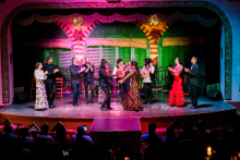 Spectacle flamenco - El Palacio Andaluz