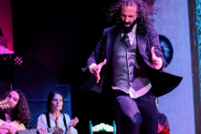 spectacle de flamenco - El palacio andaluz