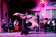 spectacle flamenco - ©El Palacio Andaluz