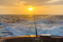 Bahia Piña, pêche sportive dans l'océan Pacifique - PANAMA AUTHENTIQUE, S.A.