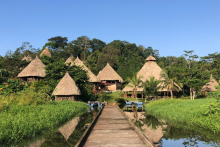 Immersion complète dans la communauté indigène Embera, au coeur de la jungle du Darien - PANAMA AUTHENTIQUE, S.A.