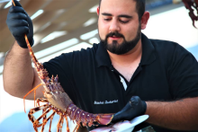 Zacharias - Akrotiri seafood obsession