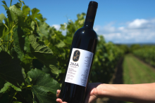 JIMA WINERY, une des très grandes maison de vins grecs. Une importation exclusive pour le play bouzouki - playbouzouki