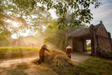 Duong Lam Ancient Village - Duong Lam Ancient Village