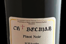 Cht Belmar Pinot Noir 2020 - Château Belmar