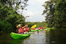 Activitée Kayak - damselfly