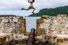 Fort de Portobelo - damselfly