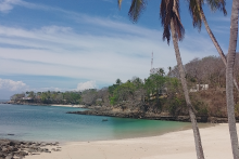 Contadora - Damselfly