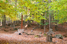 Sentier des arbres qui parlent - Parc Oméga