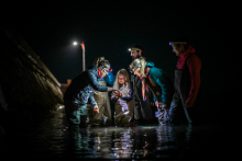 Activité nocturne sur la plage - Exploramer