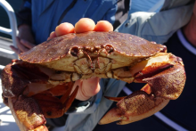 Excursion en mer - Exploramer