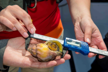 Activité laboratoire sur la mer - Jérôme Landry