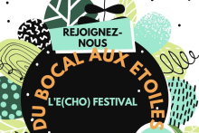 Festival Du bocal aux étoiles - LPDB