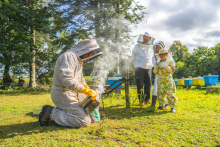 Baptême d'apiculture - Thibault Poriel