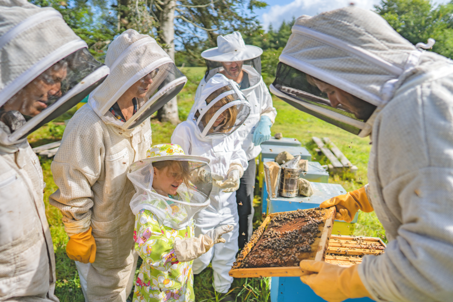 Baptême d'apiculture en famille - Thibault Poriel