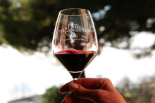 Les vins des vignobles Malartic - @atelierdestyle