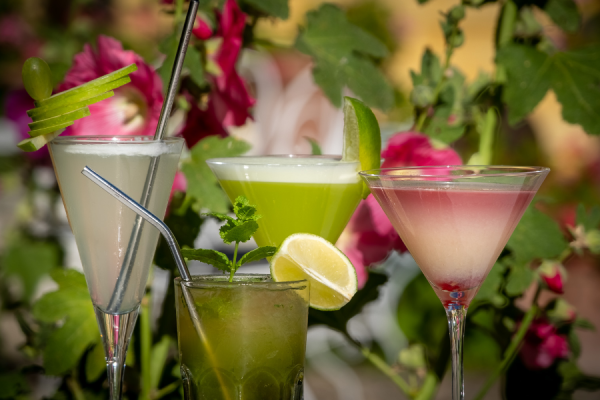 Cocktail dans les Jardins de La Baronnie Hôtel & Spa **** - La Baronnie Hôtel & Spa