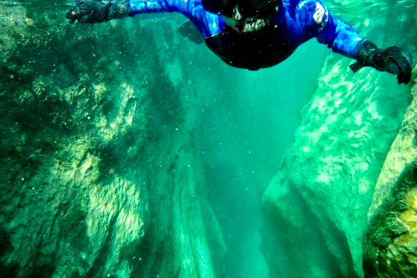 Abyss