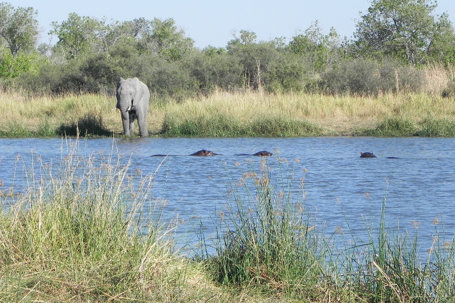 Safari en 4x4 - Africa Voyages
