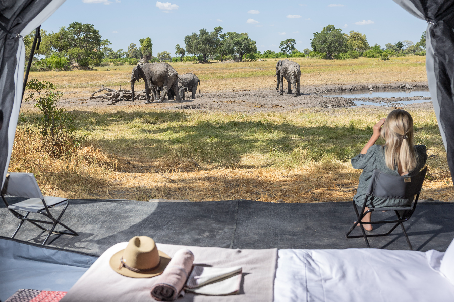 SAFARI DE MARCHE EXCLUSIF - Beagle Expeditions