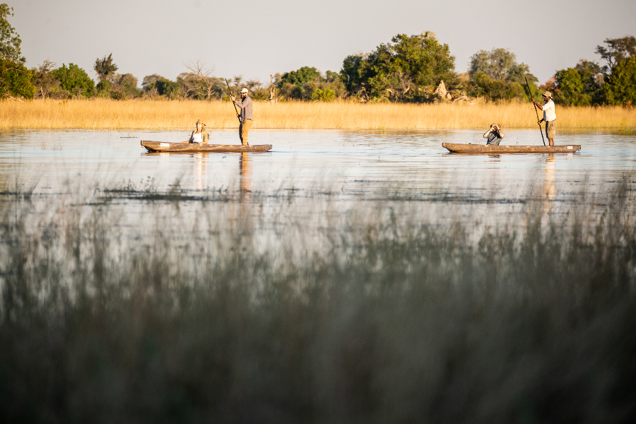 SAFARI DE MARCHE EXCLUSIF - Beagle Expeditions
