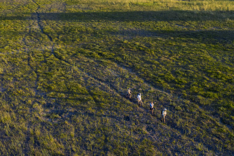 Safari de marche - Beagle Expeditions