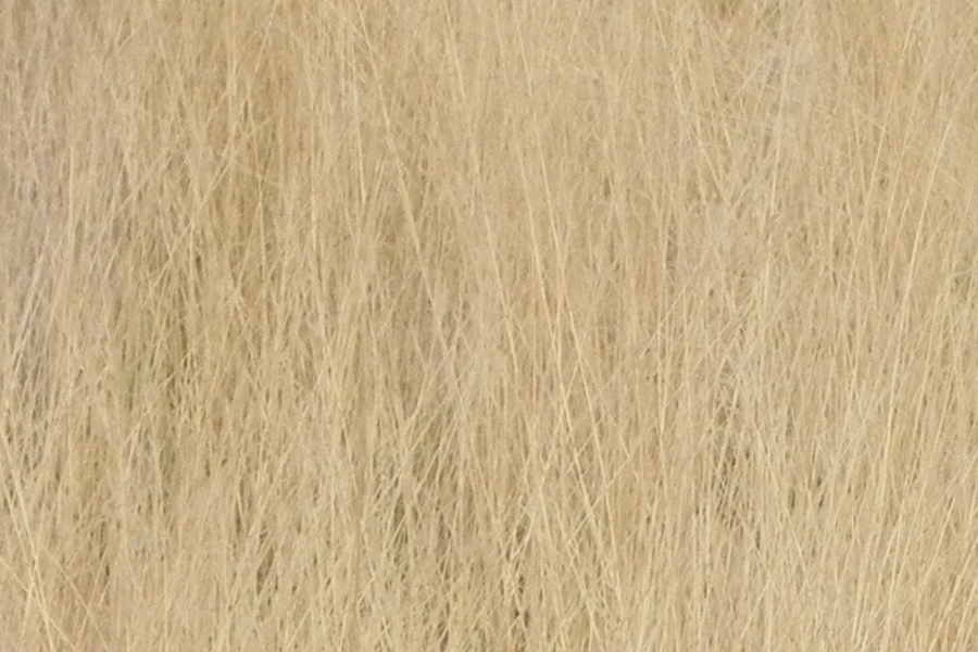 Botswana - Africa Voyages