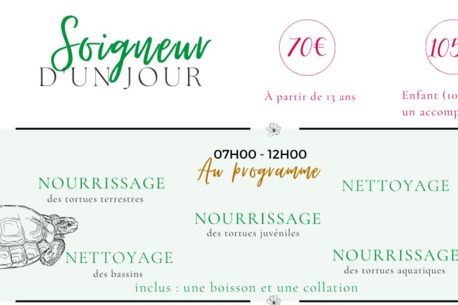 Tarifs et programme - Le Jardin des Tortues