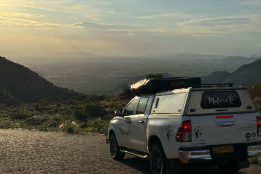 Mufasa Car Rental - David T