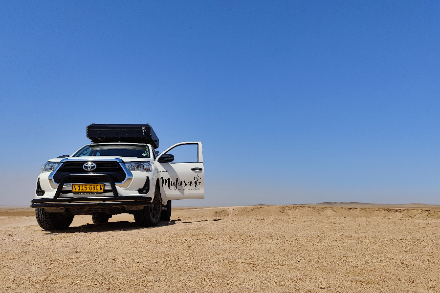 Mufasa Car Rental - Evie W