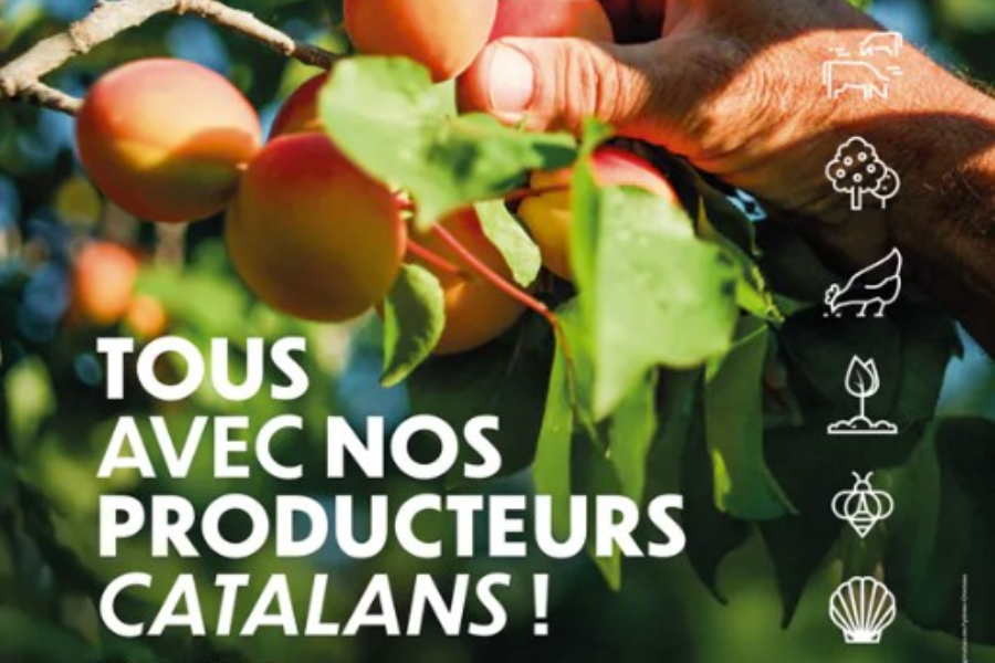 Affiche salon de l'agriculture 2025 - Département des Pyrénées-Orientales