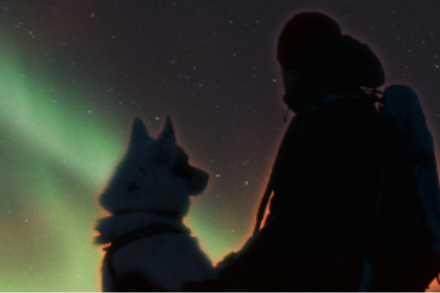 STAR ARCTIC HOTEL - STAR ARCTIC HOTEL