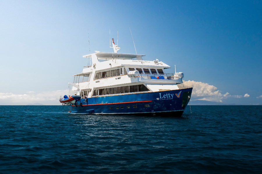 LETTY - VISITING GALAPAGOS