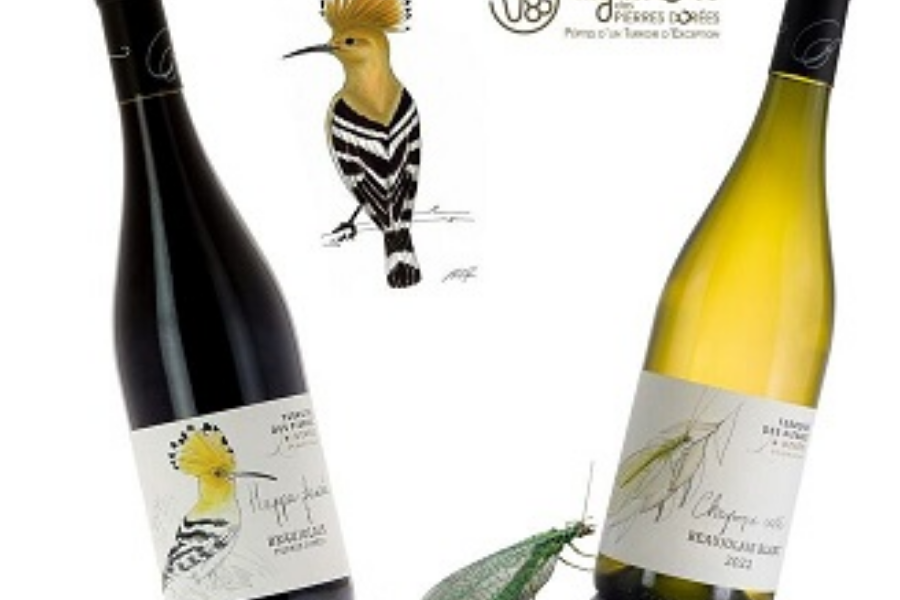 gamme grands terroirs - vignerons des pierres dorées