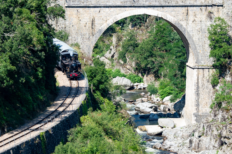 Train à vapeur dans les Gorges du Doux - P. Villecourt