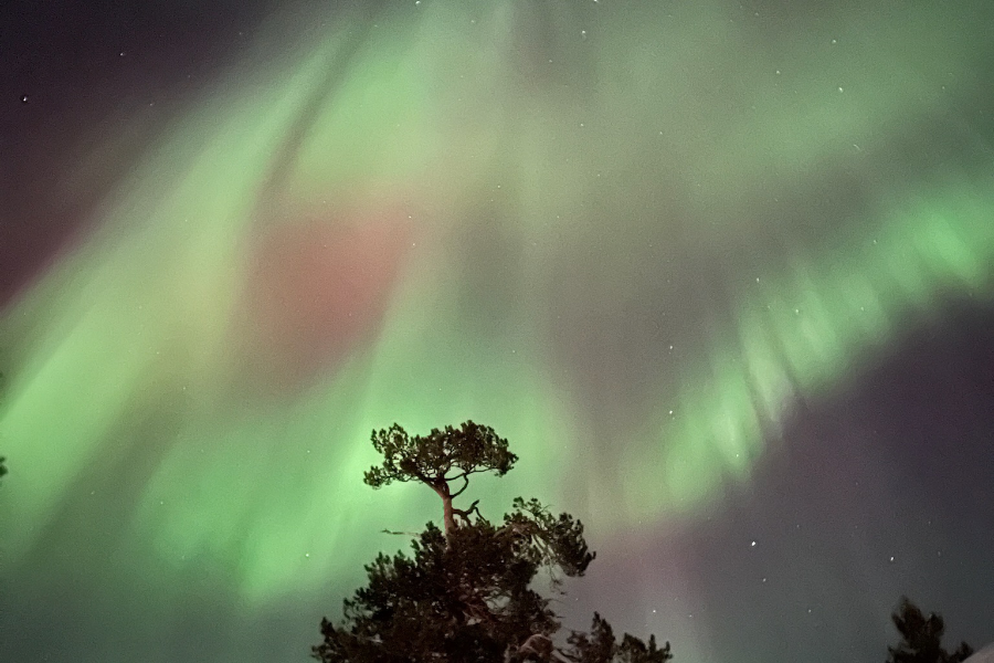 Aurora Borealis - Arctic Crusade