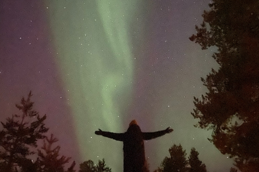 Aurora Borealis - Arctic Crusade