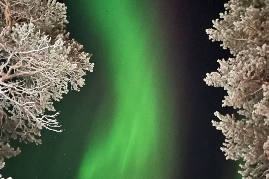 Aurora Borealis - Arctic Crusade