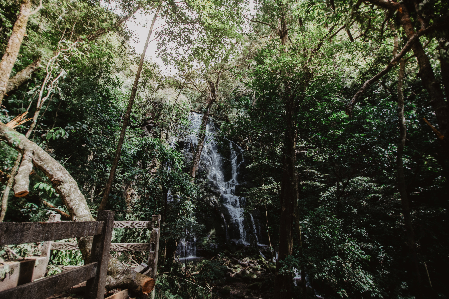 Parc national Rincon de la Vieja - Hacienda Guachipelin