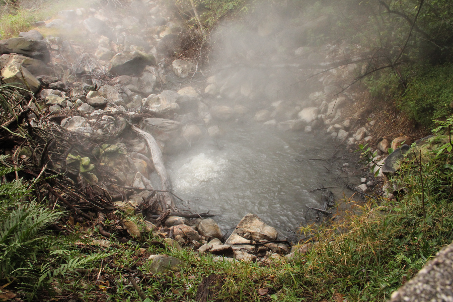 Parc National Rincón de la Vieja - Hacienda Guachipelin