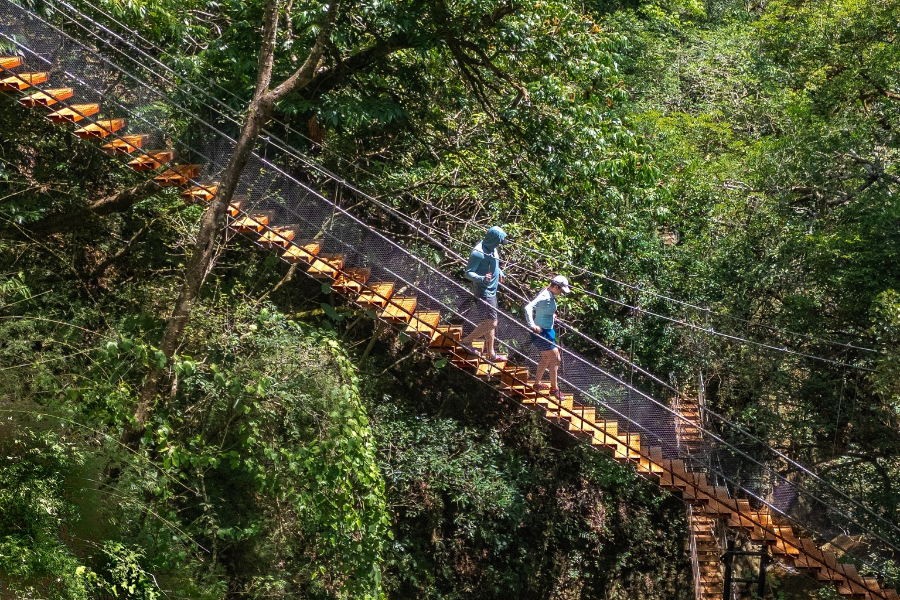 Cascade Oropéndola. - Hacienda Guachipelin