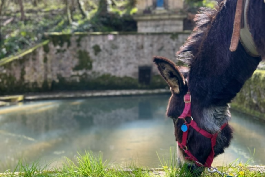Rando avec D'Jango à la Fontaine Saint-Pierre - Léonie Billy