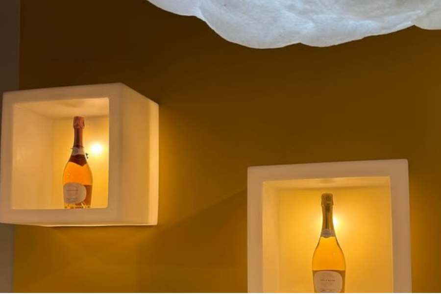 Sélection pour les restaurants et bars - Nolo Spirit