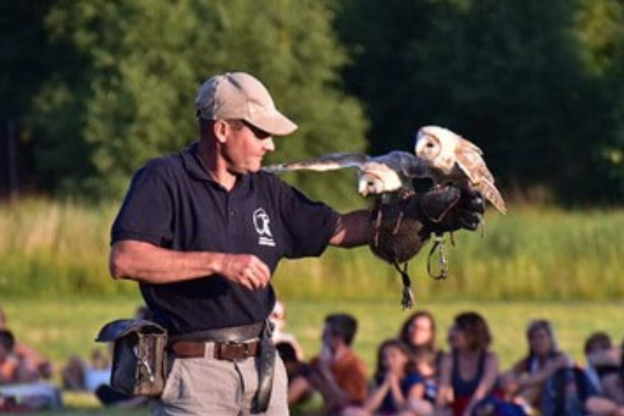 Spectacle de rapaces - Vulcania